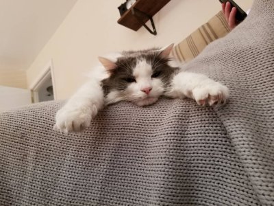 20190201_140120.jpeg