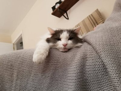 20190201_135627.jpeg