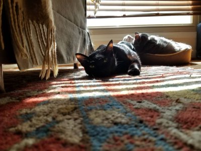 20181028_133725.jpeg