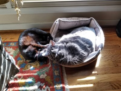 20181028_142153.jpeg