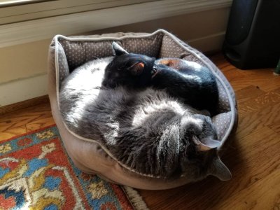 20181028_145348.jpeg