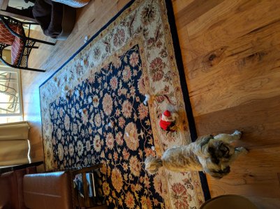MVIMG_20181227_075539.jpg