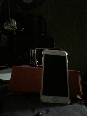 IMG_20181228_005028.jpeg