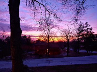 20190202_173256_HDR.jpg