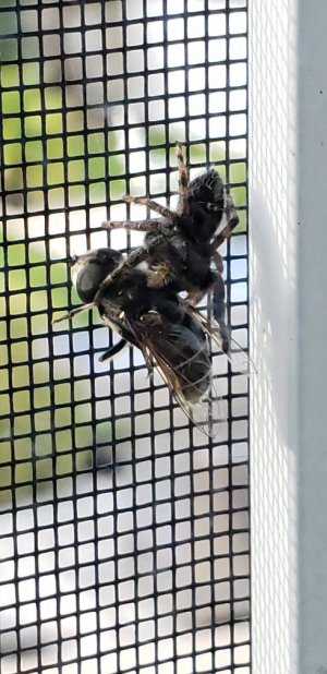 20181020_154517.jpeg