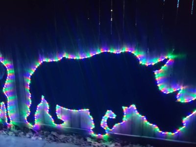 20181228_191819.jpeg