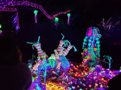 20181228_191340.jpeg