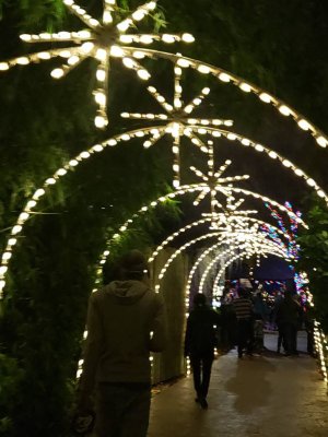 20181228_190809(0).jpeg