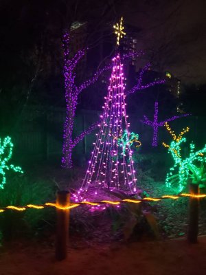 20181228_191131.jpeg