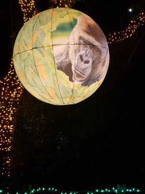 20181228_185515.jpeg