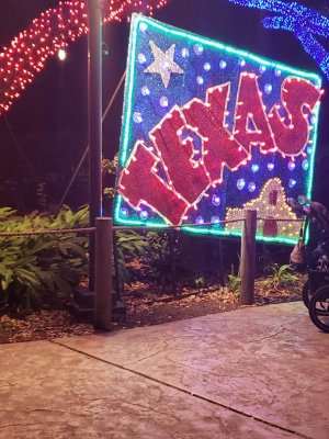 20181228_184633.jpeg