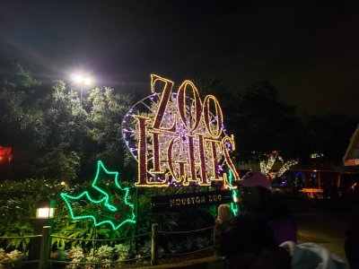 20181228_181212.jpeg