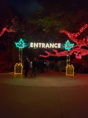 20181228_181812.jpeg