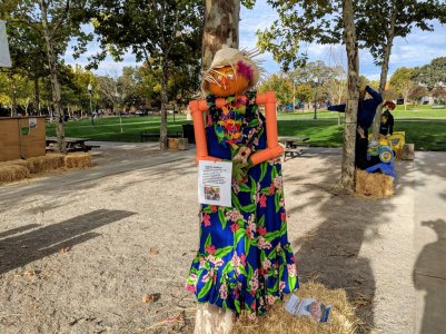 IMG_20181031_091552.jpg