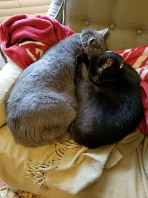 20181228_134223.jpeg