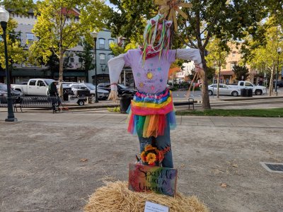 IMG_20181031_091835.jpg