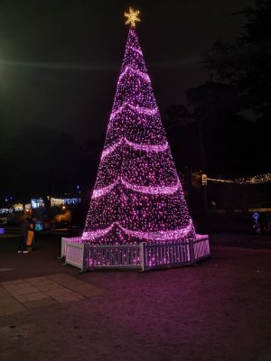 51403.jpg