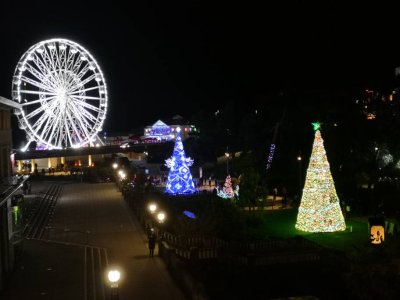 51392.jpg