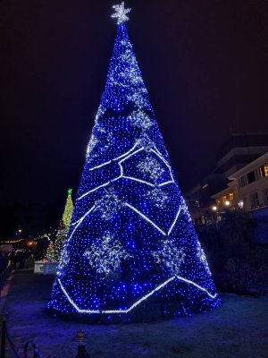 51376.jpg