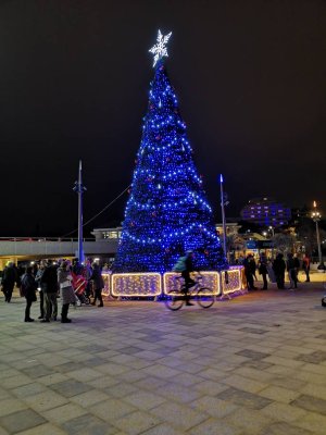 51370.jpg