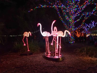 20181230_183044-Edit.jpg
