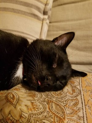 20190101_160718.jpeg