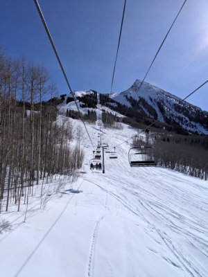 IMG_20190126_110220.jpeg