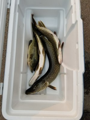 20170904_162417.jpg