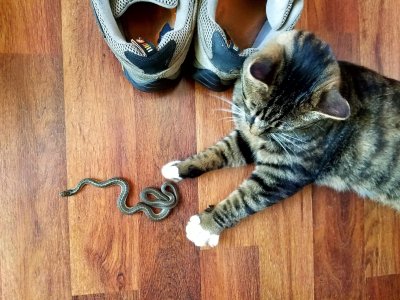 20170504_111915.jpg