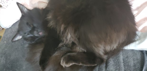 20181104_055834.jpg