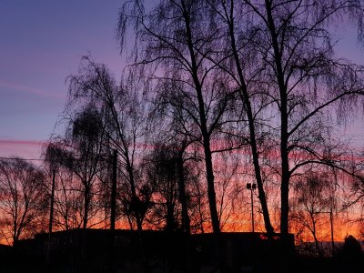 20190121_075019.jpg