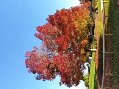20181014_165857.jpg