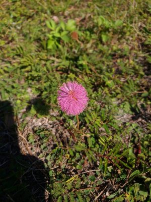 IMG_20190105_122226.jpeg
