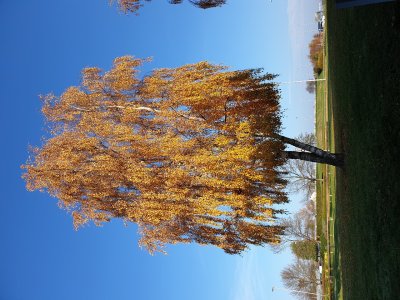 20181118_110244.jpg