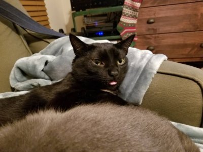 20190106_181301.jpeg