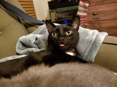 20190106_181310.jpeg