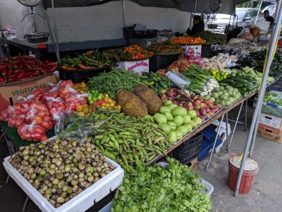 MVIMG_20181104_083247.jpg