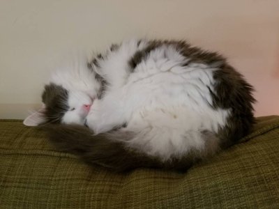 20181104_122912.jpeg