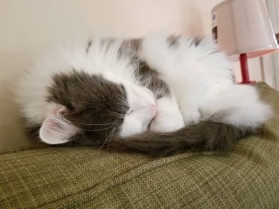 20181104_122836.jpeg