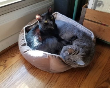20181103_145214.jpeg