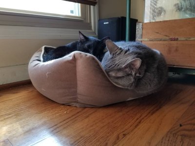20181103_150548.jpeg