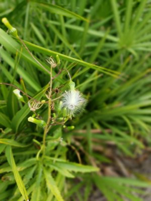 IMG_20190109_134822.jpeg