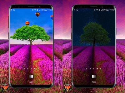 lf_phone_double_0_0.jpg lf_phone_double_0_0.jpg