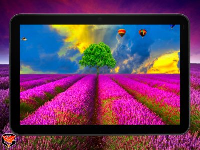 lf_tablet_background_0_1.jpg lf_tablet_background_0_1.jpg