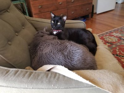 20190213_120419.jpeg