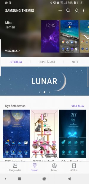 Screenshot_20190113-113114_Samsung Themes.jpg