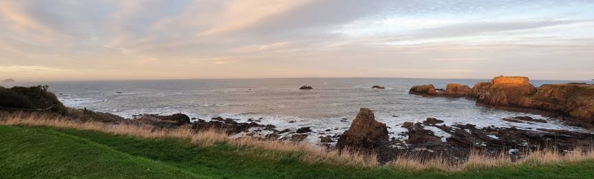 20190114_154618-01.jpeg