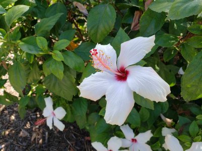 20180923_142330.jpg