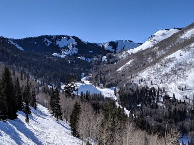 IMG_20190113_133351.jpeg
