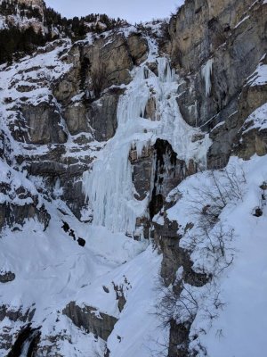 IMG_20190112_154438.jpeg